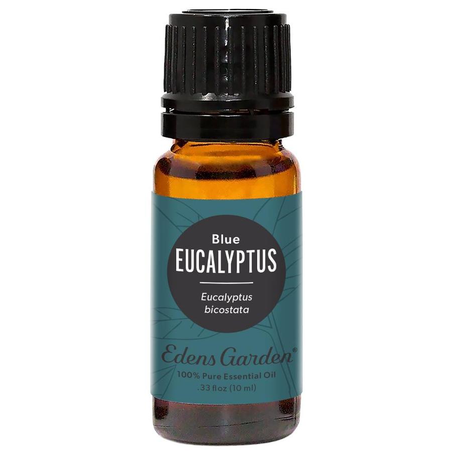 Eucalyptus- Blue Essential Oil