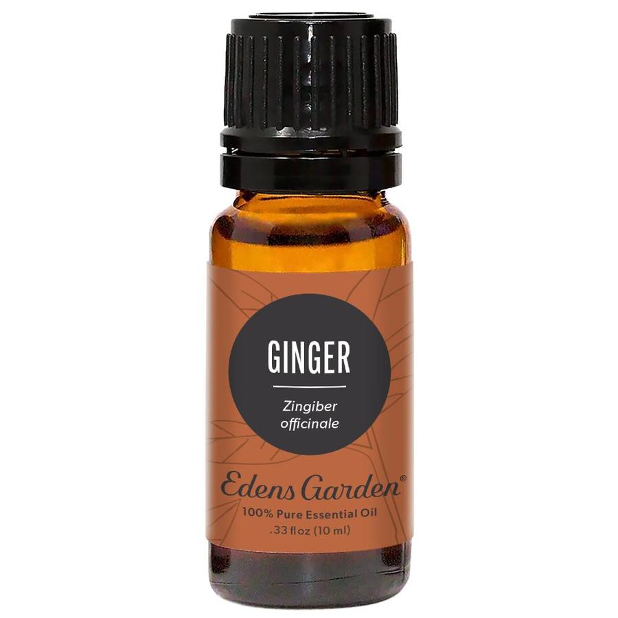 Ginger Essential Oil